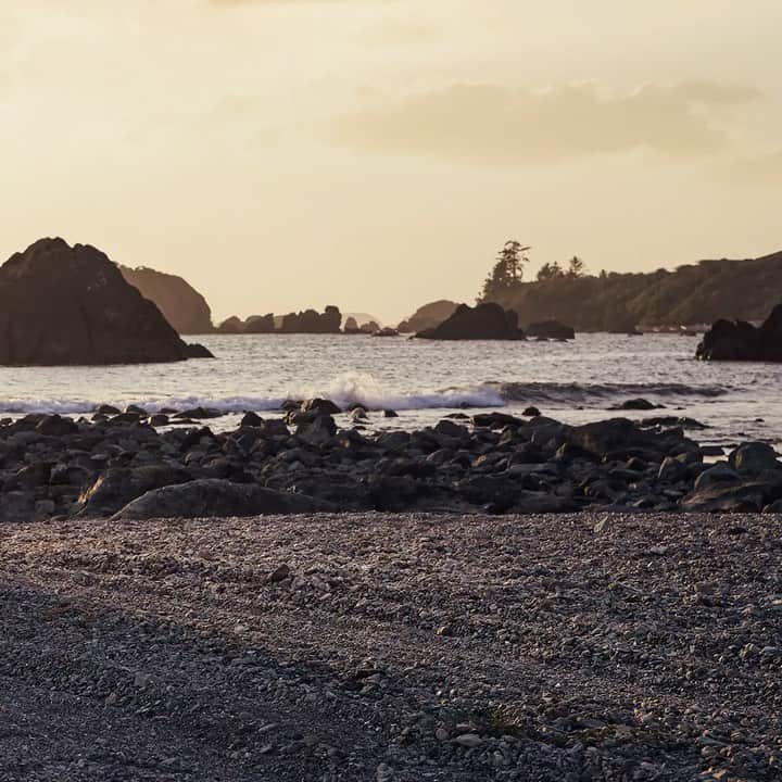Nissan USA Official Instagram accountのインスタグラム：「Rev your wanderlust. #NissanRogue2021 #RogueGoneRogue」