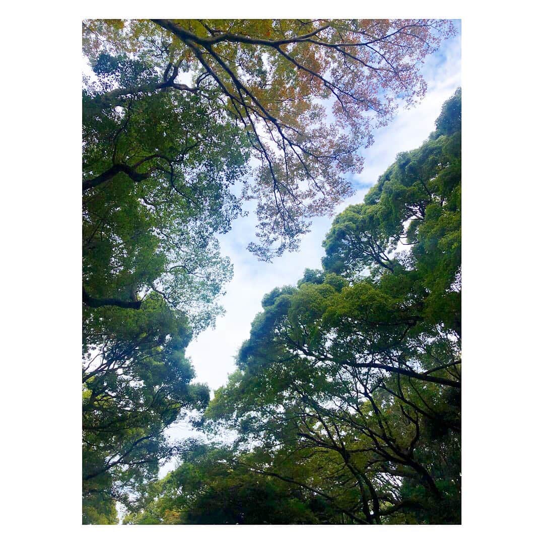 城南海さんのインスタグラム写真 - (城南海Instagram)「🍃🕊」11月11日 22時02分 - kizukiminami