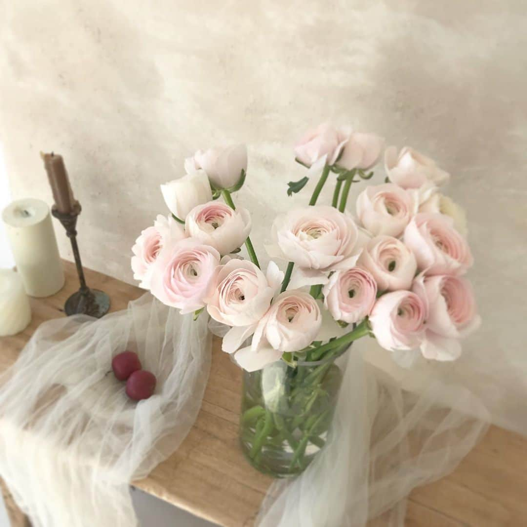 플로리스트 이주연 florist Lee Ju Yeonさんのインスタグラム写真 - (플로리스트 이주연 florist Lee Ju YeonInstagram)「. . 피어나면 더 아름다운 하노이 🤍 . #러넌큘러스 #하노이 . 订花 WeChat ID vaness_flower 페이팔 결제 가능  클래스상시모집 당일꽃주문가능 . #수업문의 #주문예약 #lesson #Order  Katalk ID vaness52 WeChat ID vaness_flower E-mail vanessflower@naver.com . 서초구 양재천로 123 5층 📞02-545-6813 . #vanessflower #florist #flowershop #handtied #flowerlesson #花束 #바네스플라워 #플로리스트 #꽃다발 #부케 #플로리스트학원 #플라워레슨 #양재동꽃집 #양재역꽃집 #꽃다발주문 #꽃수업 #꽃주문  #대관 #공간대여 #스튜디오대관 #자연광스튜디오 #자연광스튜디오대관 #스튜디오」11月11日 22時06分 - vanessflower