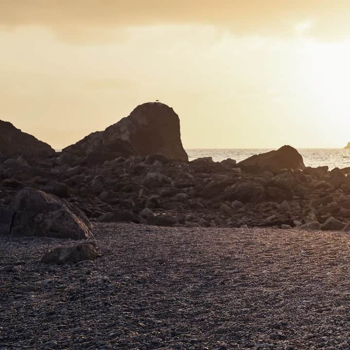Nissan USA Official Instagram accountのインスタグラム：「Find the end of the road. #NissanRogue2021 #RogueGoneRogue」