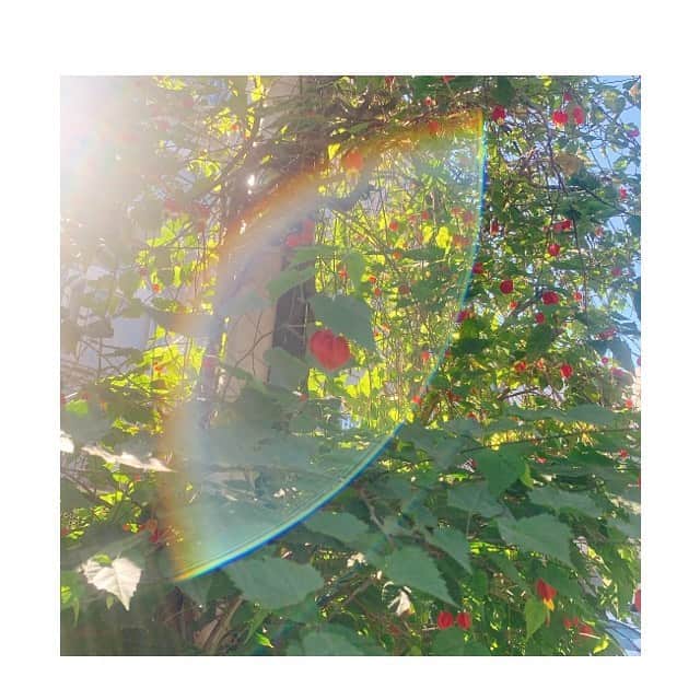 後藤紗亜弥さんのインスタグラム写真 - (後藤紗亜弥Instagram)「写真を撮ったらなんと﻿ ﻿ 🌈﻿ ﻿ ﻿ 新しいピアノが予定よりも早く届きました！！！﻿ ﻿ 頑張ろう！(^ ^)﻿ ﻿ "頑張ってね🌼"﻿ ﻿ ﻿ エールをもらった気持ちになれました。﻿ 　#写真　#picture  #Rainbow #びっくり  #compressor #作曲」11月11日 13時48分 - saaya_goto