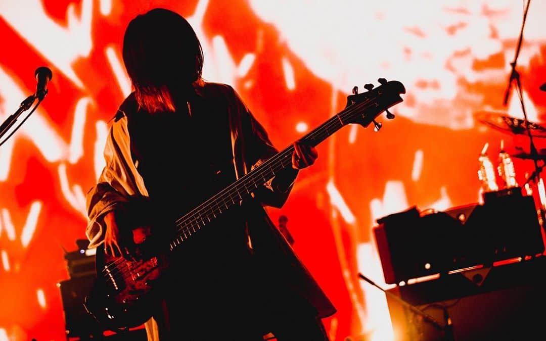 のインスタグラム：「Happy Bass Day. photographer:@yamada_mphot #ベースの日 #11月11日」