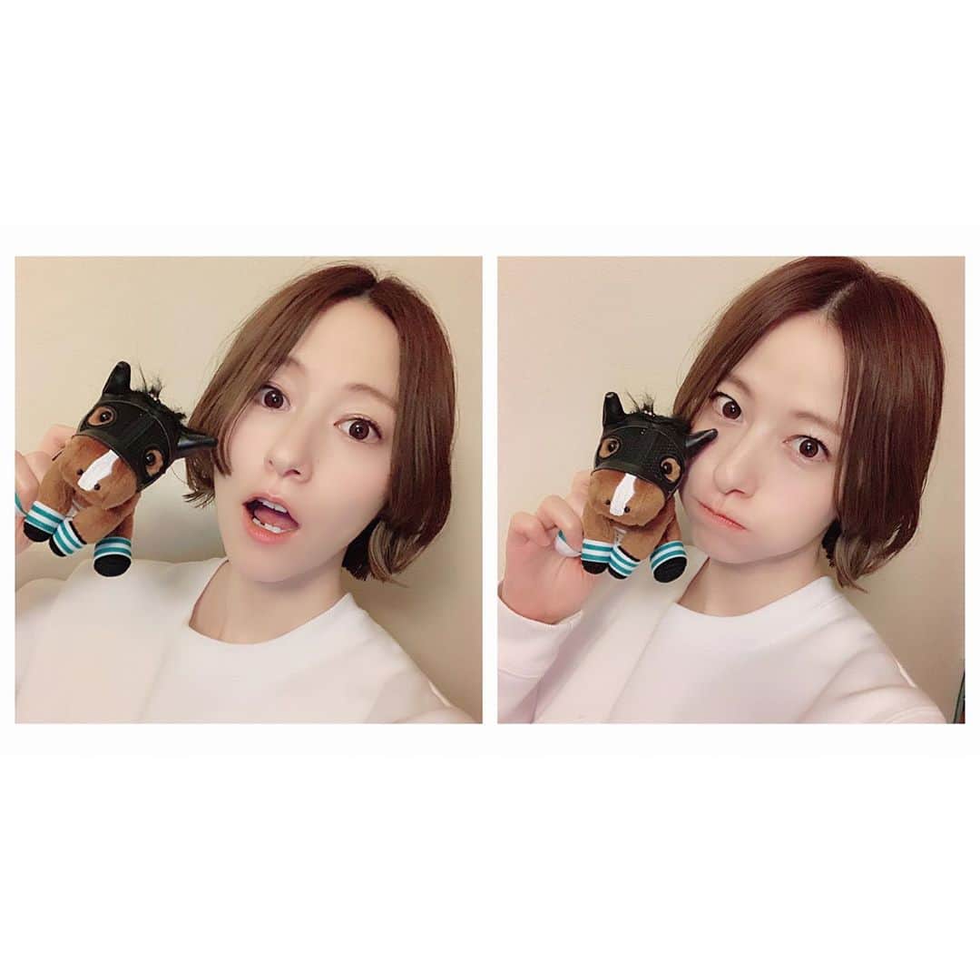 のインスタグラム：「ㅤㅤㅤㅤㅤㅤㅤㅤㅤㅤㅤㅤㅤ #ロジャーバローズ のぬいぐるみもろた😋 ㅤㅤㅤㅤㅤㅤㅤㅤㅤㅤㅤㅤㅤ #競馬 #🏇 #サラブレッド #umajo #宮島咲良 #ミヤジマン #ぼっち戦隊ミヤジマン」