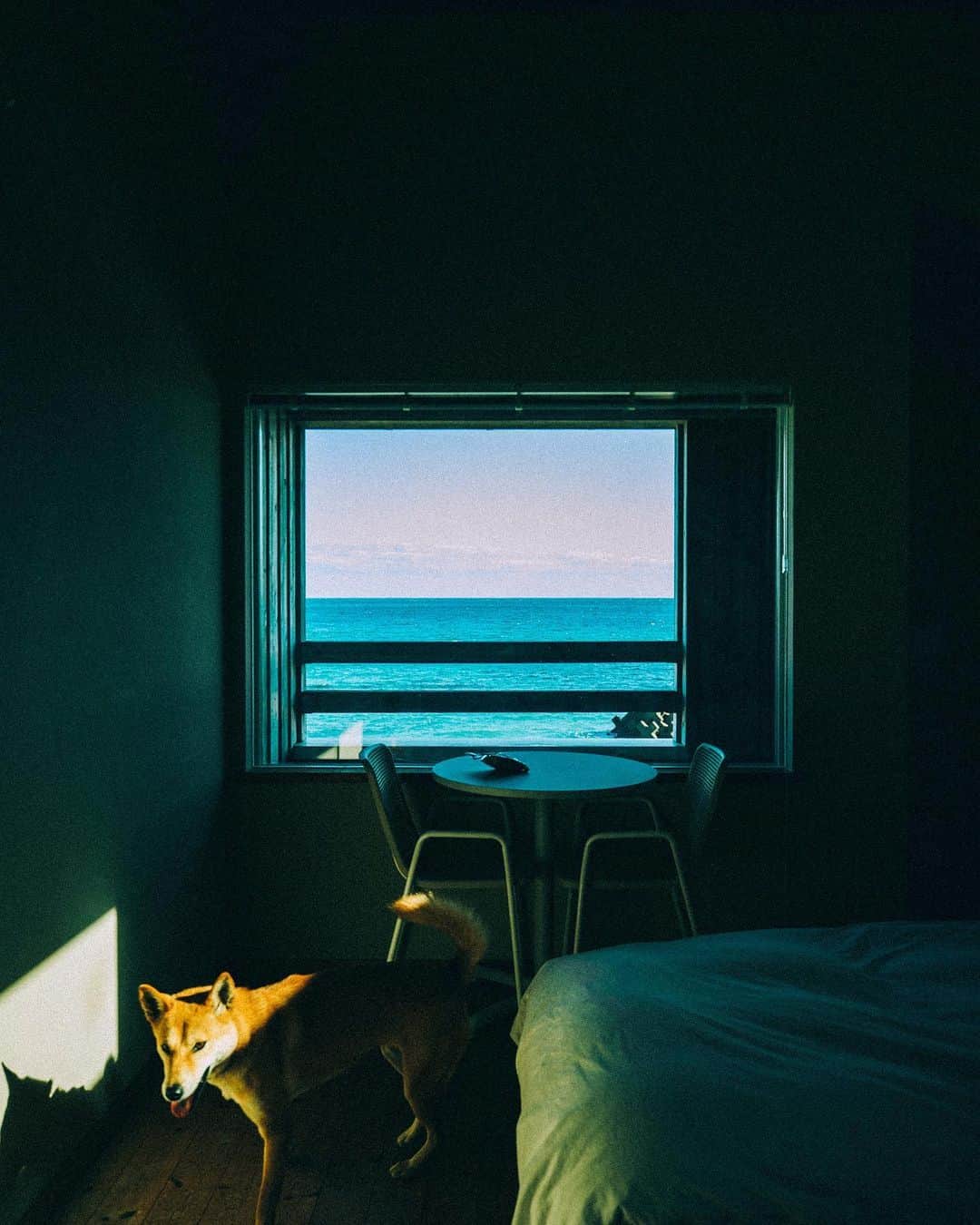 山中海輝のインスタグラム：「Getaway Wendnesday. @beachhouse_shishikui .」