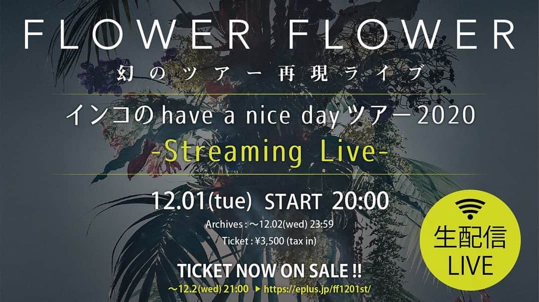 yuiのインスタグラム：「全公演中止になってしまった「インコのhave a nice dayツアー2020」を新体制で12月1日(火)20時より生配信!!  チケット発売中！！💁‍♀️💁‍♀️ eplus.jp/ff1201st/  ツアーグッズはこちら 👉shop.eplus.jp/flowerflower/  どんな感じになるのか今からワクワクしています🥳 よろしくお願いします✨ ． ． The Parakeet Have a Nice Day Tour 2020, which has been cancelled for all shows, will be streamed live on Tuesday, December 1 at 8pm with a new lineup!  Tickets are now on sale! 💁 eplus.com/ff1201st/  Tour Merchandise 👉shop.eplus.jp/flowerflowerflower/  I'm excited to see what it will look like now! Best regards ✨」