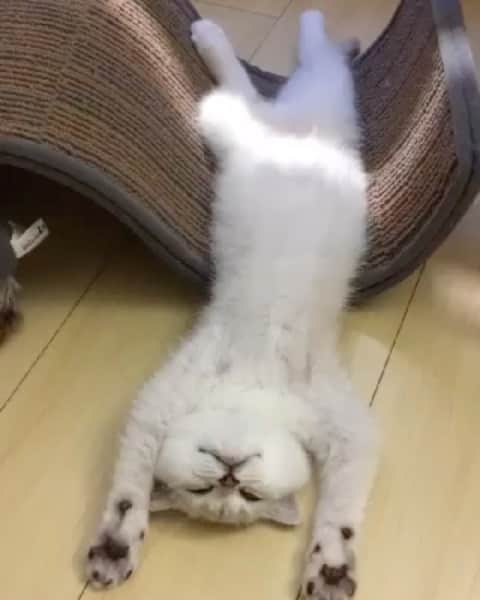 Hiroのインスタグラム