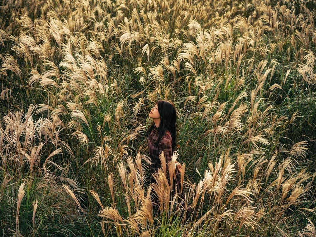 高橋伸哉さんのインスタグラム写真 - (高橋伸哉Instagram)「「Photograph life」 . . . #photography #portraitphotography」11月11日 16時28分 - t.1972