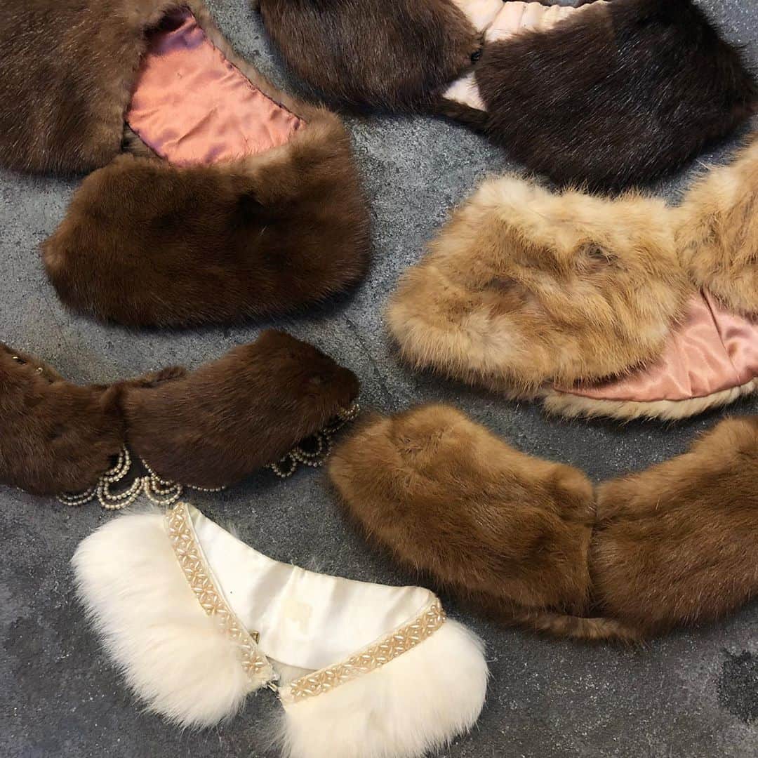 NUTTY Vintage&Collectibleのインスタグラム：「🍂RECOMMEND VINTAGE🍂  ☑︎vtg mink fur design collar  ミンクファーの上質なつけ襟。 艶のある光沢やしなやかな毛並みは、リアルファーだからこそ。気品溢れるアイテムです。  ニットの首元や、コートの襟上/襟下に忍ばせてもレディな仕上がりになり、素敵です。  💌DMよりお問い合わせ/通販承っております💌  ------------------------------------ 🛍NUTTY通販について🛍 ------------------------------------- ＜ONLINE STORE＞ VINTAGE▶︎http://nutty.theshop.jp/ USED SELECT▶︎https://nuttyselect.official.ec/ （プロフィールページURLよりjump🕊） ㅤㅤㅤㅤㅤㅤㅤㅤㅤㅤㅤㅤㅤ ＜VIDEO CHAT SHOPPING＞ テレビ電話をお繋ぎして、リアルタイムでご案内いたします。詳細は過去の投稿をご覧ください。」
