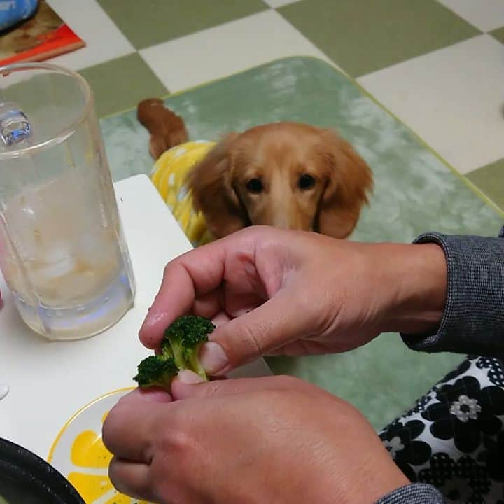 ピックのインスタグラム