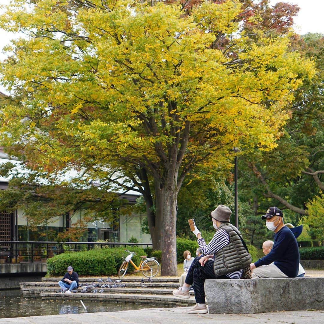 平塚市さんのインスタグラム写真 - (平塚市Instagram)「* 赤、黄、緑と移り変わる木々を のんびり眺める昼下がり。 *** #手をつなぎたくなる街 #hiratsukagood #hiratsuka#平塚 #kanagawaphotoclub #総合公園#公園 #平塚市総合公園 #紅葉#黄葉 #autumnleaves #おさんぽ #お写んぽ #週末の過ごし方 #日々#暮らし #instagramjapan#igersjp」11月11日 16時59分 - hiratsukagood