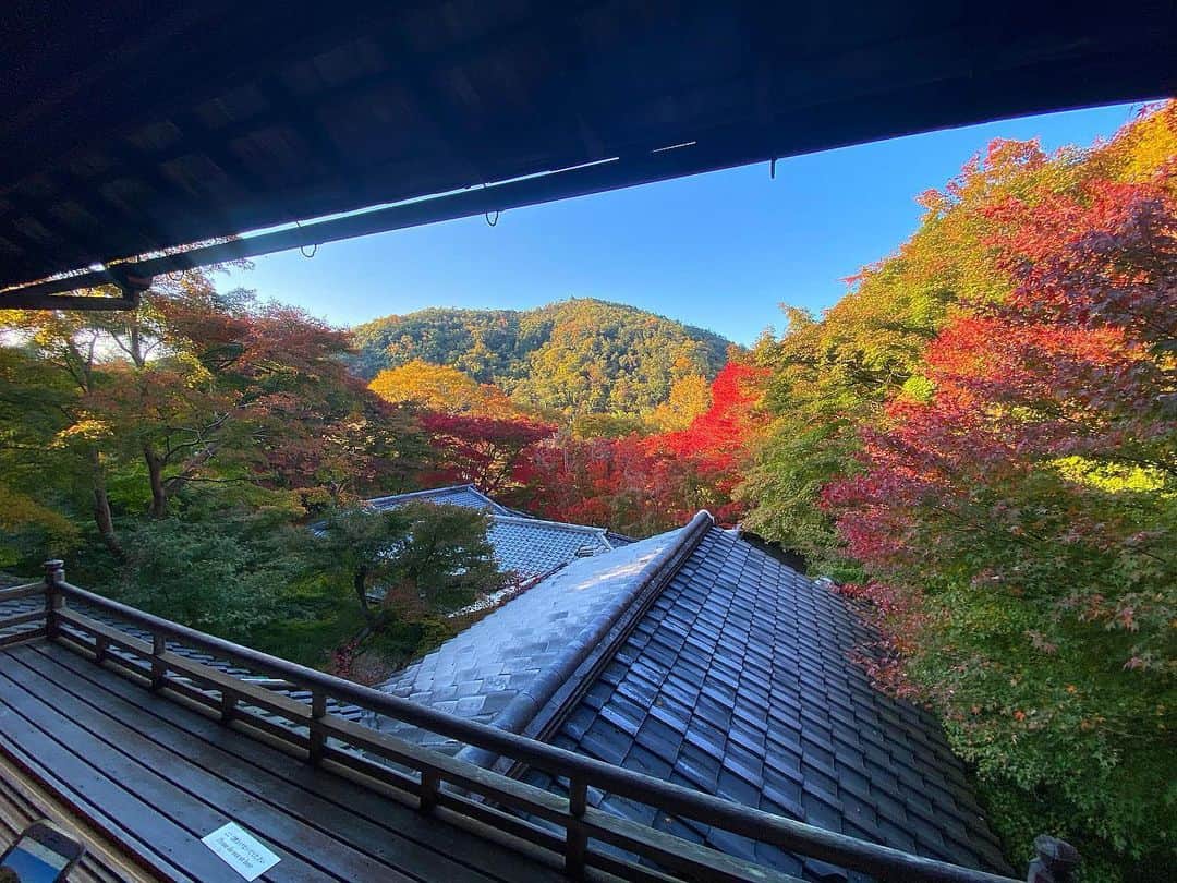yuiさんのインスタグラム写真 - (yuiInstagram)「.  Autumn leaves🍁🍁  #京都瑠璃光院#瑠璃光院#kyoto #yuiinkyoto」11月11日 17時01分 - yuiram