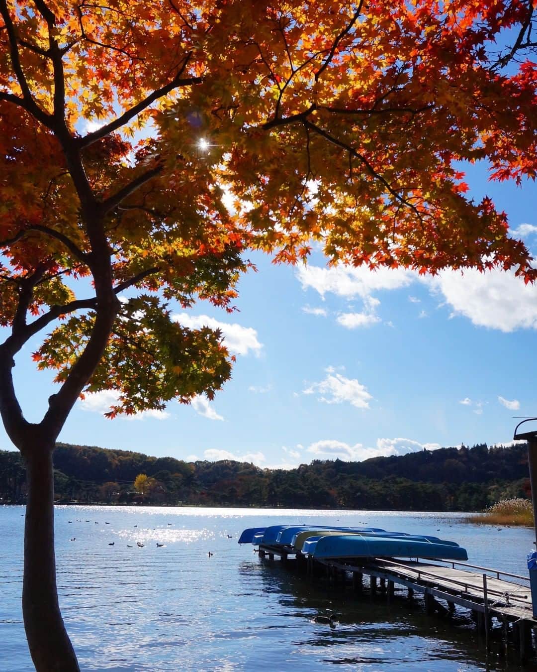 福島県のインスタグラム