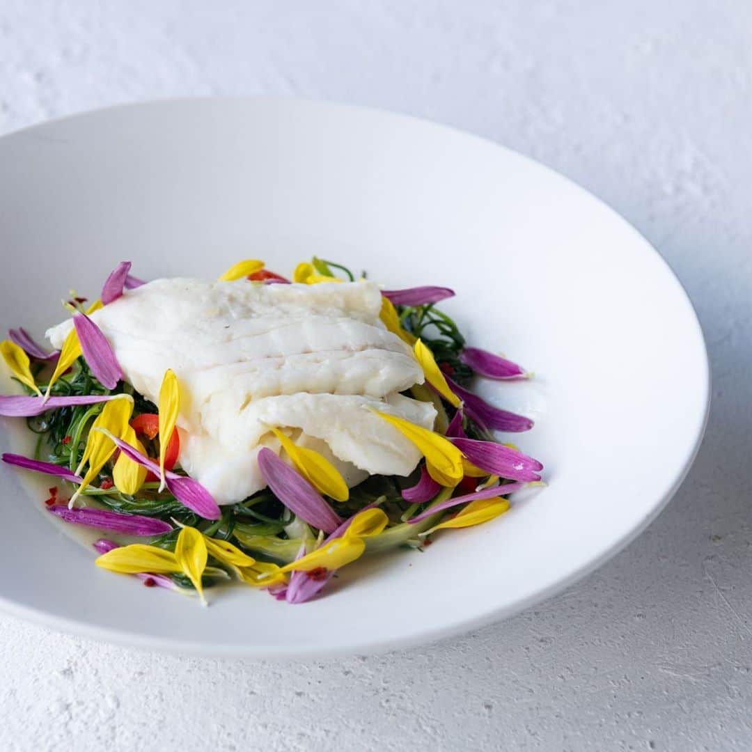 ロングレインのグルメインスタ