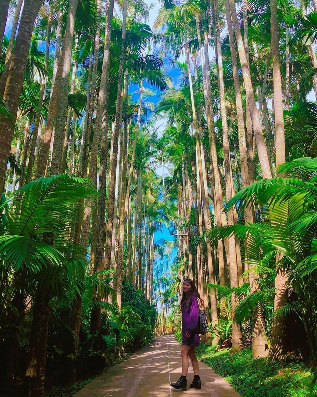 ピーチ・アビエーションのグルメインスタ