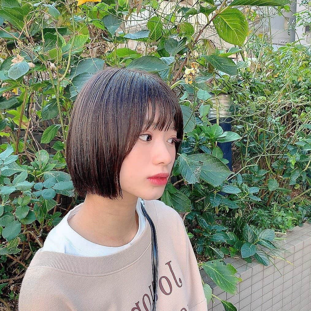 深川舞子さんのインスタグラム写真 - (深川舞子Instagram)「すっごい久々投稿😂 （ごめんね）  昨日はお友達に美容学生がいるので その子にヘアカラーと少しだけ切ってもらいました😊  お友達の夢を色んな形で応援できて 頑張ってる姿をみれて嬉しかったー！  カラーは初めての色にしてもらいました！（肝心の色わからない😂）」11月11日 17時23分 - f.maiko_0705