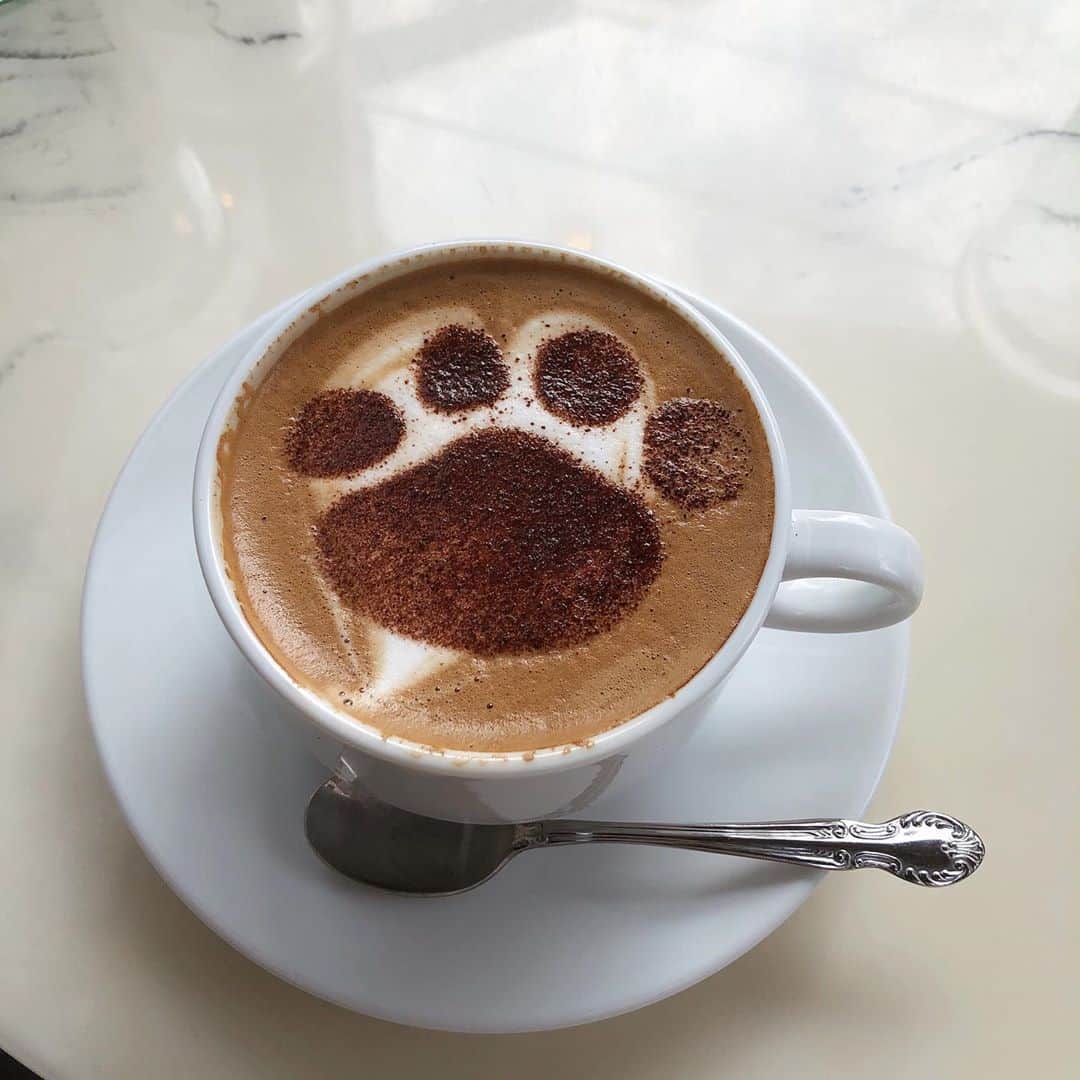 朝日奈芙季さんのインスタグラム写真 - (朝日奈芙季Instagram)「.﻿ ぱしゃり🐾﻿ ﻿ ﻿ ﻿ 今まで写真を撮らなかったけど、﻿ ﻿ ﻿ 最近は、かわいい飲み物や食べ物を﻿ 目の前にすると...﻿ ﻿ ﻿ 思わず写真を撮っている！📸﻿ ﻿ ﻿ ﻿ これがInstagram効果か😳！笑﻿ ﻿ ﻿ ﻿ ちなみに前回のコーヒーの答えは、﻿ ハート２つでした〜🤎﻿ ﻿ ﻿ みなさん当たりましたか？？﻿ ﻿ #cafe #caffelatte」11月11日 17時25分 - fuki_asahina_official