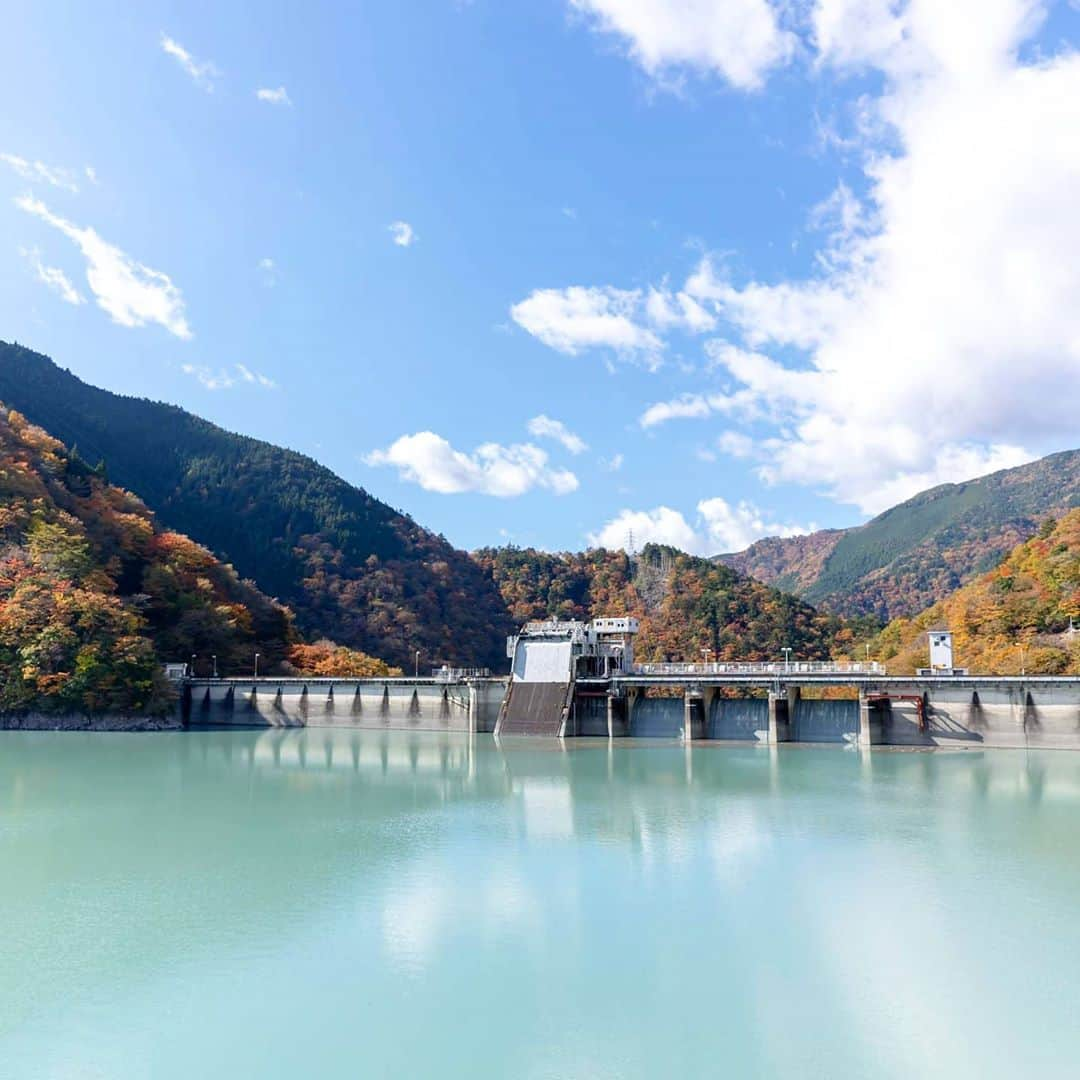 静岡市地域おこし協力隊 のインスタグラム