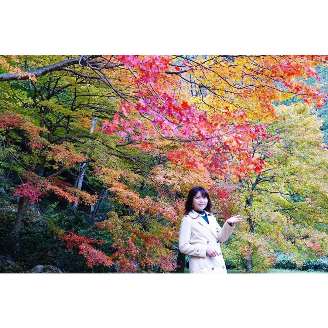清水のぶよのインスタグラム
