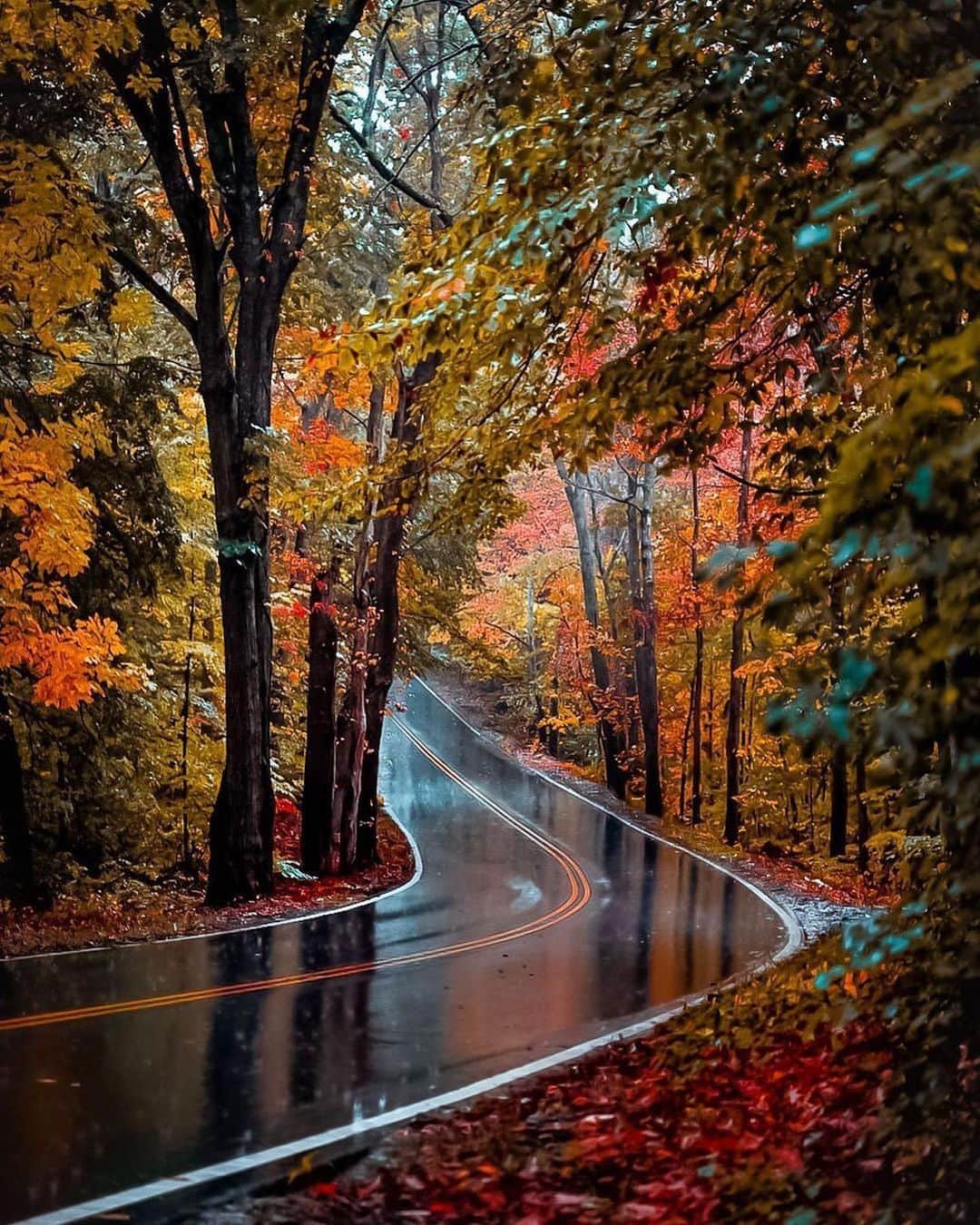 Canon Photographyさんのインスタグラム写真 - (Canon PhotographyInstagram)「Autumn in Massachusetts 🍂  Photography // @new_englander__ Curated by @steffeneisenacher  #massachusetts #autumn #road #reflection #rainydays」11月11日 17時28分 - cpcollectives