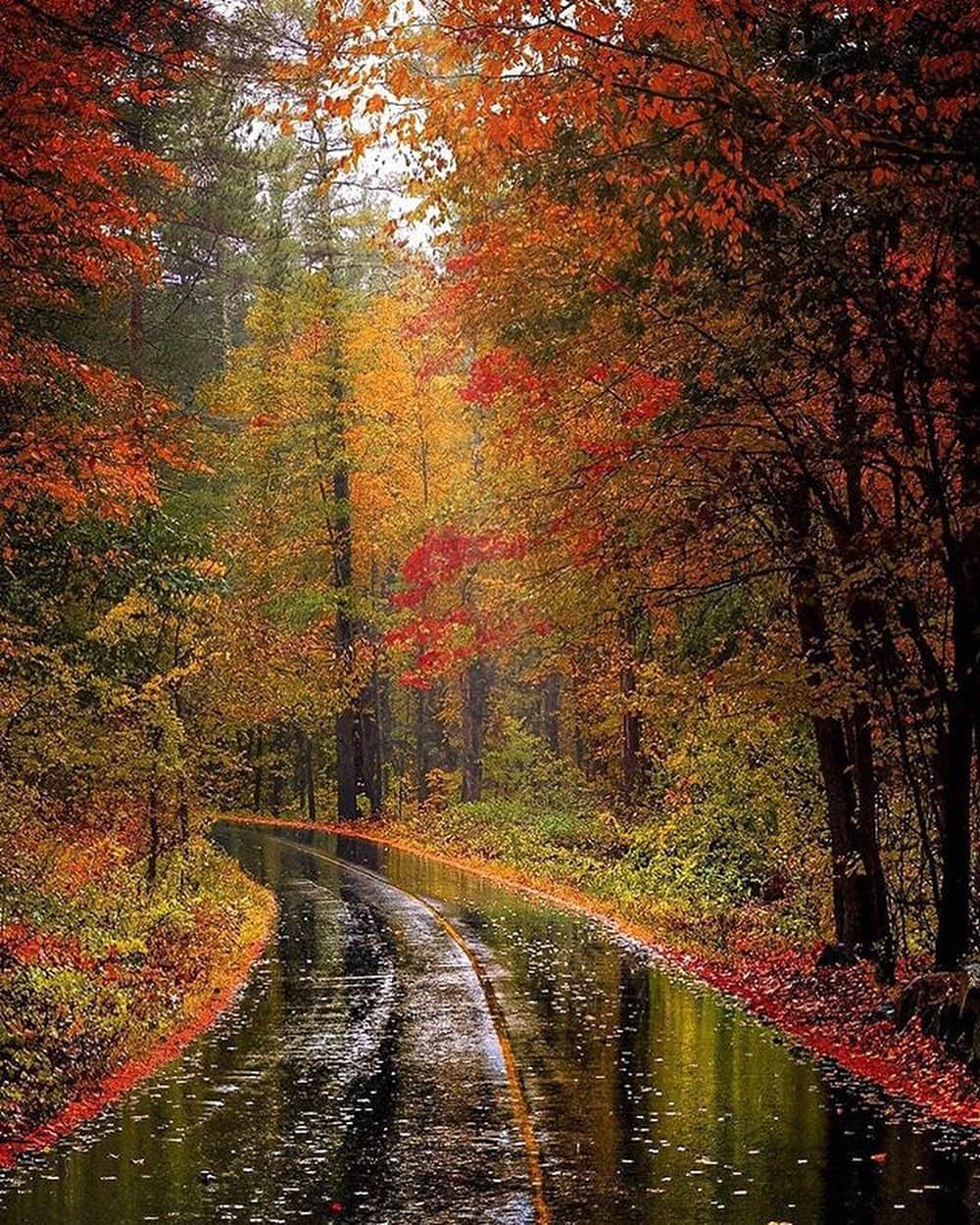 Canon Photographyさんのインスタグラム写真 - (Canon PhotographyInstagram)「Autumn in Massachusetts 🍂  Photography // @new_englander__ Curated by @steffeneisenacher  #massachusetts #autumn #road #reflection #rainydays」11月11日 17時28分 - cpcollectives