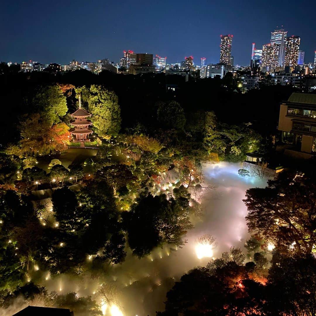 のインスタグラム：「22:30 東京大雲海の時間です！ワァーッ！😵😵 なんだこりゃ！？ 素敵過ぎる！👏🏼👏🏼  都会の中のオアシスって感じ！ 紅葉のライトアップと雲海！ このコラボレーションが凄く幻想的で もぅ絶叫マシーン！ うっとりしちゃってます。☺️ おまけにバックは摩天楼！ このコンビネーションがたまらんです。🥺  東京タワー君とまた違った光景です！これは一人でも多くの人に見てほしいなぁ。🙏🏻 都会ではなかなか見れない 夢のような絶景です！  いい夢みれそうだよ。 お休みなさい！ Sweet Dreams... 🌙  #コニクソンのホテルレポ✍🏻 #椿山荘 #東京ではなかなか見れない光景 #東京大雲海 #幻想的な世界 #東京のホテル巡り」