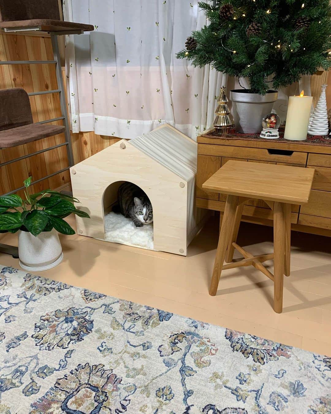 ?りっこ?さんのインスタグラム写真 - (?りっこ?Instagram)「＊ ＊ 🌿  HARUTAROU 🌿 ＊ ・@lifullhomesdiymag  様より ・ 木製で屋根と側面が帆布で出来ていて 落ち着きがあり どんなお部屋にも ピッタリ ♪♪♪ ＊ ・ 全商品に使える10%offクーポン ・ CPFR2011-Q147 ・ 2020年11月30 日まで ご利用可能！ ・ 是非こちらから💁‍♀️ @makeagoodmarket  様 ＊ ＊ #makeagoodmarket  #メイクアグッドペットハウス #cats_of_instagram  #TheDailyKitten  #cats_of_world #balousfriends  #catloversclub  #cat_features #catstocker #themeowlife  #sweetcatstime  #thedailykitten #cats_of_instworld #IGersJP #happypetclub #bestmeow #保護猫 #catsfollowers  #ペットハウス#クリスマスツリー #catsnet #instacat_meows #cutieanimalspage #cutecatshow  #thedailykitten #猫とインテリア #sweetcatonline #nyancon01 #sippoストーリー　#petokotolife ＊ ＊ 🌿🌿🌿🌿🌿🌿🌿🌿🌿🌿🌿🌿🌿🌿🌿🌿」11月11日 18時01分 - usako_honma