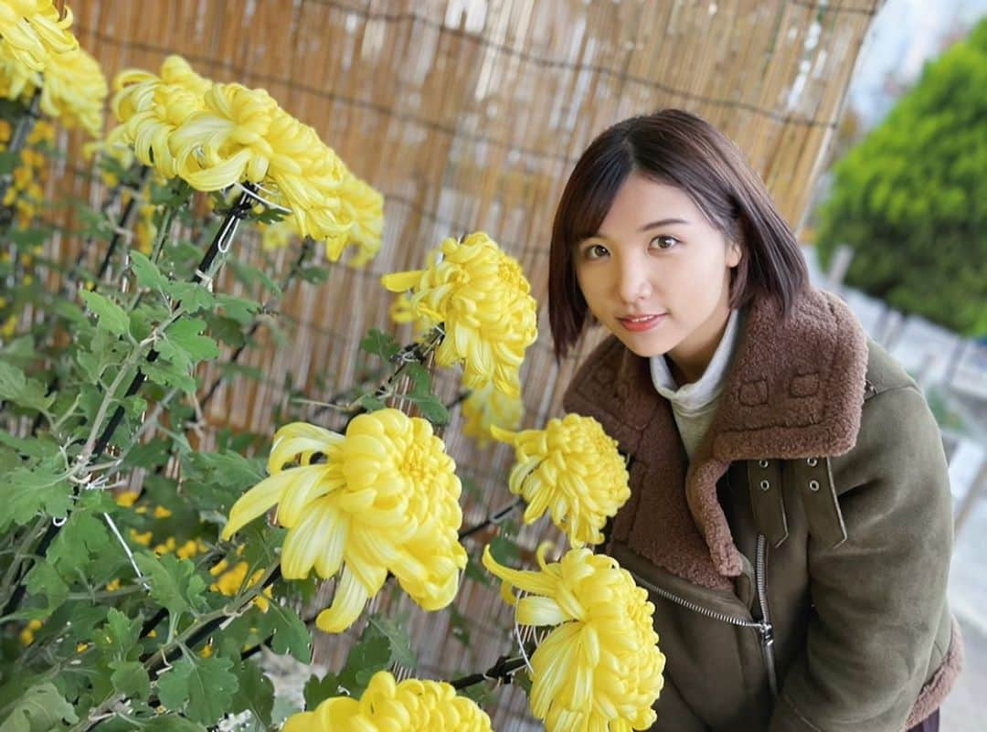 岡畑雛生さんのインスタグラム写真 - (岡畑雛生Instagram)「綺麗なお花💐🌟  #haircolor #haircut #hairsalon  #makeup #ポートレート #portraitphotography #instagood #ショートヘア #ポートレート撮影 #ポートレートモデル #instalove #instafollow #mac #l4l #ショートカット #f4f  #hairmodel#岡畑雛生#shorthair #shortcut」11月11日 18時06分 - hinana_okahata