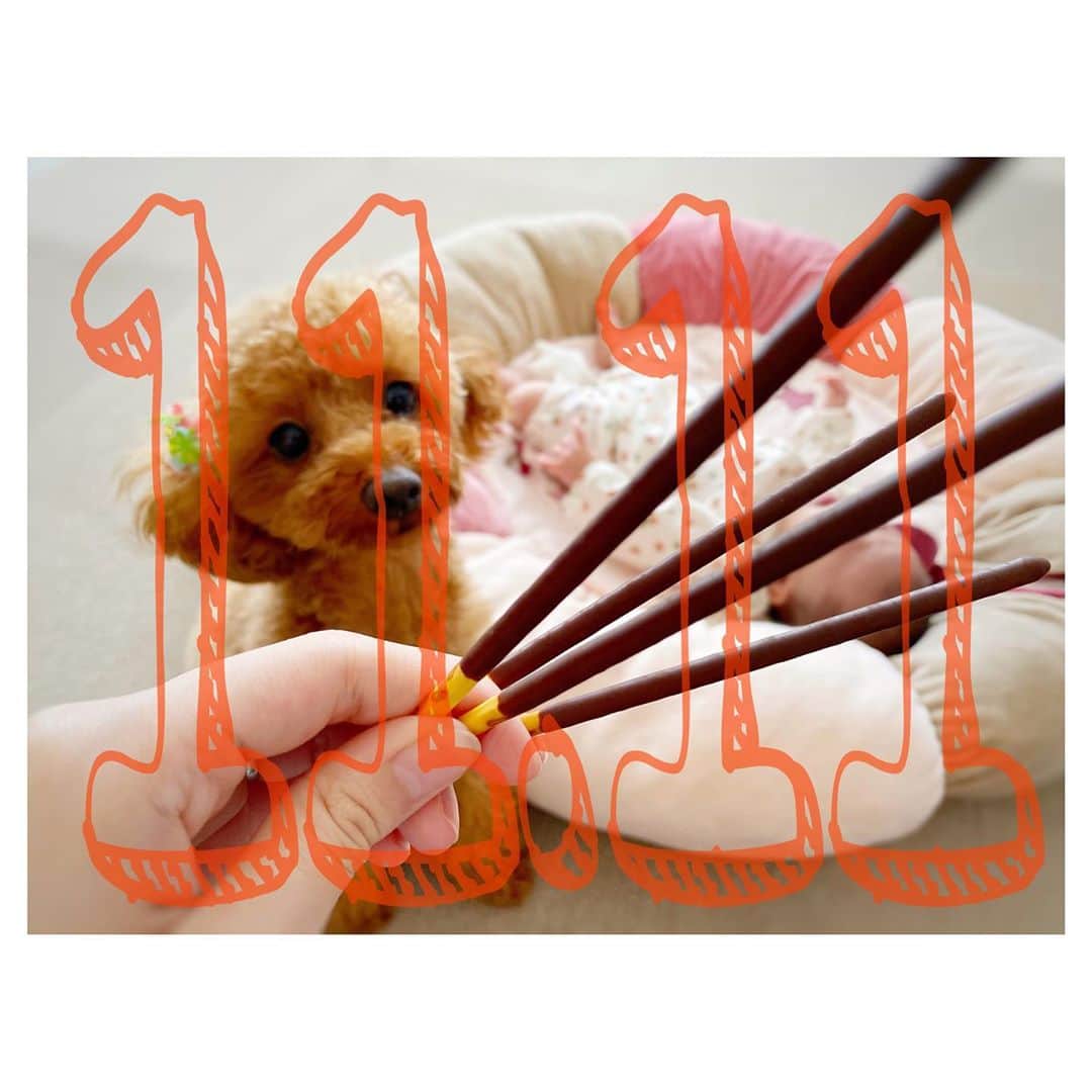 松尾薫さんのインスタグラム写真 - (松尾薫Instagram)「𝟙𝟙.𝟙𝟙 #ポッキーの日」11月11日 18時22分 - kaoru_matsuo78