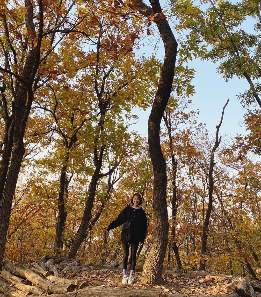 パク・ミンジのインスタグラム：「동네에 산 둘레길의 입구가 있다는것을 이사 온 지 한달이 지나고서야 발견🍁」