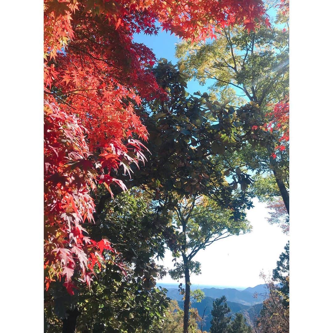 咲希あかねさんのインスタグラム写真 - (咲希あかねInstagram)「#高尾山 🍁#稲荷コース   初めて登った！ 気持ちいーーーー😚✨ なんたってメンバーが最高で、常に笑って、常に食べて😏笑 楽しすぎたー！　　#パワー充電   #紅葉 もきれいだったよ♡  すれ違うたびに『こんちは』って挨拶したり、 おじぃちゃんおばぁちゃん達が声をかけてくれたり… 山って、人と人との心の距離が近くて嬉しくなるね😊💓  1人だけ👴が『んー、なんだか宝塚みたいだねぇ』って🙄 なんでわかったのーー笑 #エスパー #年の功 #先人の知恵   頂上で富士山🗻見つけられず😢 スカイツリーと東京タワー🗼は見えた✨  #山登り #登山 #登山女子 #山ガール #ニット帽 #レギンス #bepatch」11月11日 18時38分 - akane_saki