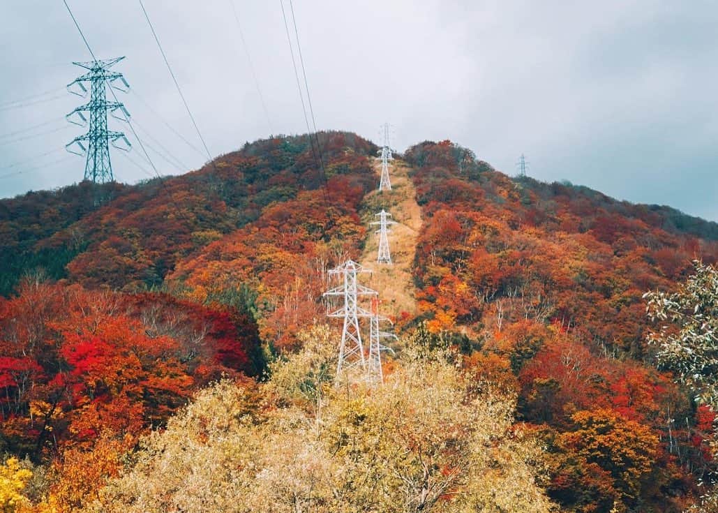 yukiさんのインスタグラム写真 - (yukiInstagram)「・ ・ ・ Beautiful autumn days ・ ・ ◉NICOSTOPサイトにて記事公開中◉ https://nicostop.nikon-image.com/entry/technic/landscape-portrait/2020/10/16/1 ・ ・ ・ ◉sty830 base shop◉ https://sty830.base.shop/ ・ ・ ・ #新潟　#越後湯沢」11月11日 19時07分 - sty830
