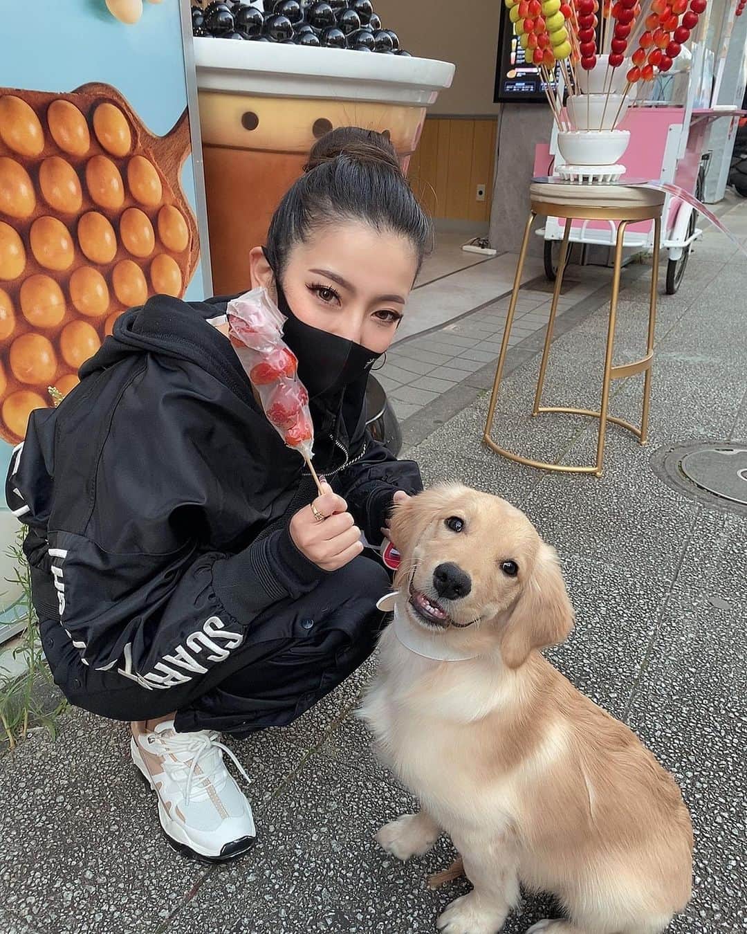 KIKIのインスタグラム：「マスクの位置が下すぎて盛れてないけど ひまが盛れてるからいい🥰 2枚目はいちご飴狙ってるひまちゃん  * * * * *   #ゴールデンレトリバー #パピー  #バーレスク #burlesque#party #日本#japan#roppongi#六本木 #音楽#music#dj#club#クラブ #女の子#ギャル#ぎゃる #dance#gogo#sexy#girl #ビキニ #水着#衣装 #longhair#美脚」