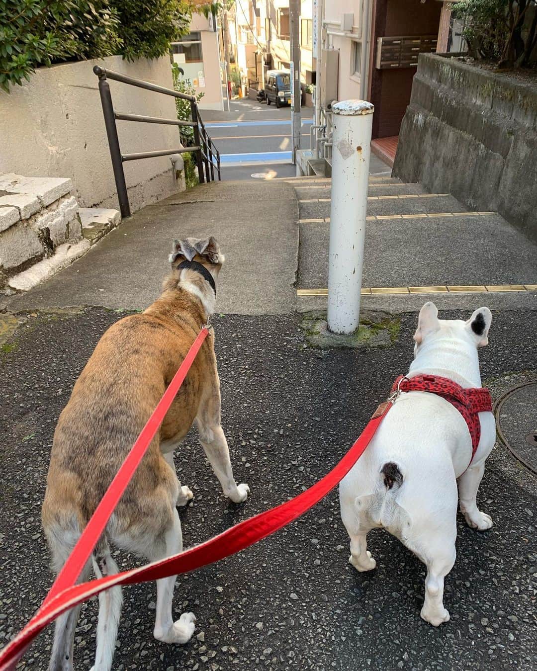 なべやかんのインスタグラム