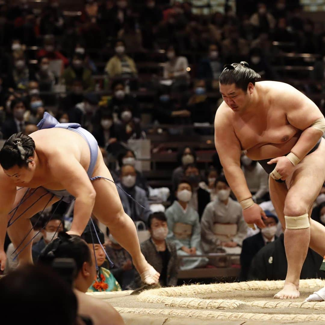 日本相撲協会さんのインスタグラム写真 - (日本相撲協会Instagram)「大相撲十一月場所、4日目。 貴景勝、照ノ富士、北勝富士、遠藤、琴恵光、千代の国、志摩ノ海が4連勝。力士のぶつかる衝撃、熱気あふれる取組をぜひ国技館でご覧ください。  @sumokyokai  #大相撲 #sumo #相撲 #力士 #お相撲さん #japanphoto #sumowrestlers #japanculture  #十一月場所 #11月場所 #東京 #11月場所は東京で #高田川審判部副部長」11月11日 19時47分 - sumokyokai