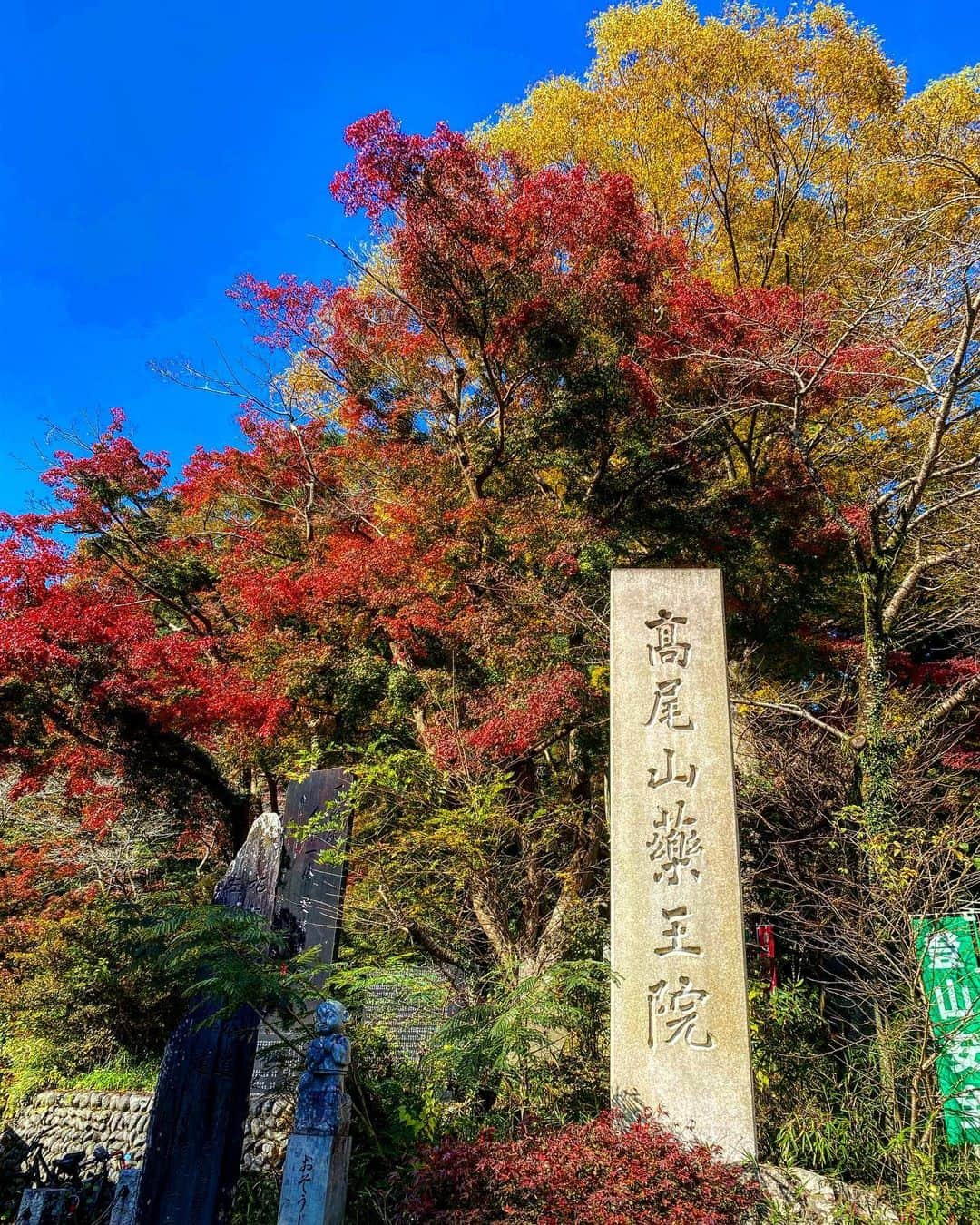 長谷川京子さんのインスタグラム写真 - (長谷川京子Instagram)「先日、娘と娘の友達、ママ達と高尾山へ。 まあまあ大変な道のりでしたが、登山日和、気持ち良かったです😉 #高尾山＃登山#timberland」11月11日 19時49分 - kyoko.hasegawa.722