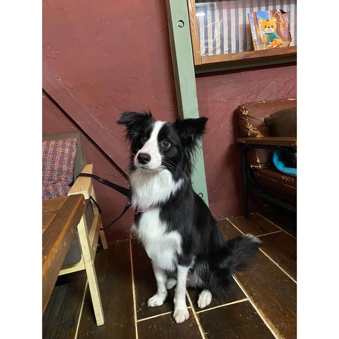 渡部いずみのグルメインスタ