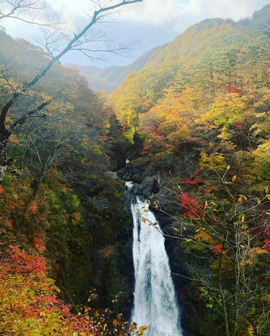 菅原茉椰さんのインスタグラム写真 - (菅原茉椰Instagram)「． ． ． 秋保大滝いった。 寒かったけど 綺麗で迫力あって パワー貰えた👐🏻 ． #宮城 #仙台 #秋保 #秋保大滝 #紅葉」11月11日 20時57分 - maya_sugawara