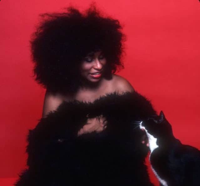 ティファニー・キャデラックのインスタグラム：「Funk Guru」