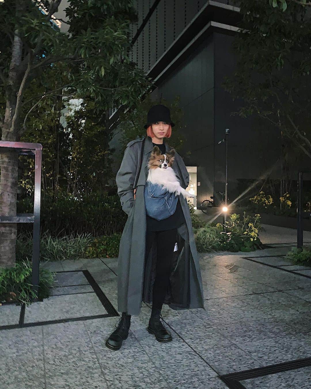 のインスタグラム：「こつぶと #今日のコーデ 🤝 ドッグスリングに入り慣れてるこっちゃんは 基本右手は肘かけてて左手はまっすぐ😂  ちなみにスリングは @ervadog のデニム💙 ワンコのパパママ、オススメです🥺」