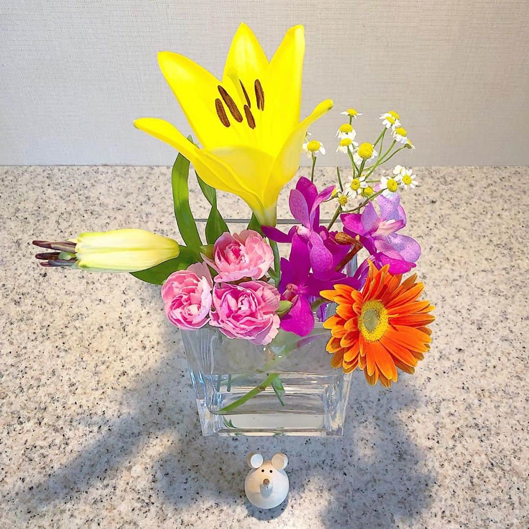 榊山敬代のインスタグラム：「💐👏… . 今週のはじまりは 週末にいただいた ユリさんがパッと 見事に咲きました  朝はまだ少ししか 顔を出してなくて  ふと眺めていましたら パっとこんにちはの巻  このエネルギーの気配には  生きてるなぁと うれしくなる時 　 そして  やっぱり鮮やかなお花は 明るいきもちになる魔法  さて今日は ようやくと 衣替えの巻  今年はあたたかいので アトリエでは半袖素足 夏モードでしたけれど  断捨離も兼ねまして午後から 一気に秋冬モード切り替える  三分の一程お別れする洋服さんが 出てきましてまだまだ減らせそう  一時期20代後半は太っていて その時のスカートも40代から また着れるかなと残してたら 体型の重心が変わってしまい  今の体型維持する目標に変えて さよならしたのもスッキリの時  そのようなわけで  未来はどんな体型になっていたいかを あらためて見つめる断捨離タイムの巻 ・ ・ ・ ・ #秋 #衣替え #enjoyhome ・ ・ ・ ・ ・  #きょうのアトリエ  #日本画家 の #アトリエこんなもん #作品 #絵画 #日本画 #アート #art #painting  #アートのある暮らし#Fancy #fairy #妖精 #心 #きょうのFancy #flower #お花  #colorful #plants #花束 #ありがとう #thankyou #未来をイメージ #未来 #前向きに」