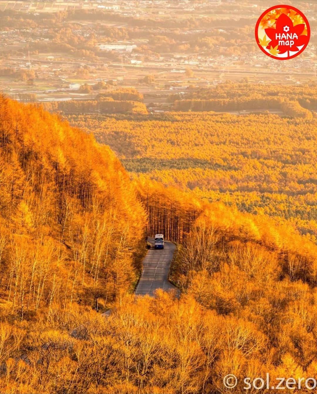 はなまっぷ❁日本の花風景さんのインスタグラム写真 - (はなまっぷ❁日本の花風景Instagram)「🍂🍁はなまっぷの紅葉まつり🍁🍂 * @sol.zero さんの 紅葉に花まるを💮 * 色とりどりに染まる美しい日本の秋をありがとうございます😊🍁🍂 * 長野　#高峰高原 Takamine Kogen, Nagano Pref. * 見頃を過ぎている場所もご紹介しています。 お出かけの際はHP等で最新の情報をご確認くださいね🙏🍁 * 🍁•••🍂•••🍁•••🍂•••🍁•••🍂 * 🍂🍁はなまっぷの紅葉まつり🍁🍂 〜紅葉の季節が終わる頃まで #はなまっぷ  のタグの中から、紅葉のお写真をご紹介させていただきます。期間中はランダムに、複数枚投稿でもご紹介させていただく場合がございます。 * #秋#紅葉#風景#はなまっぷ」11月12日 8時12分 - hanamap