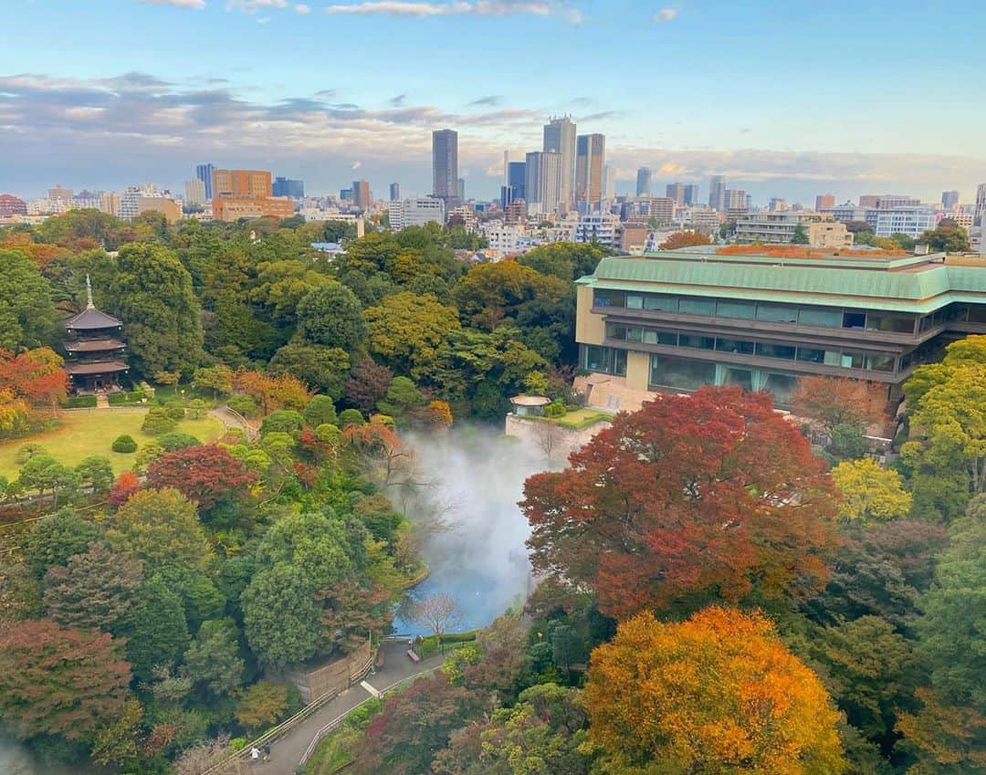 のインスタグラム：「椿山荘からおっはよ！ 朝一07:00の東京大雲海！ 夜とは全く違う感じのもくもく雲海！ 朝もとーっても素敵！✨✨  お部屋から美しい雲海がみれるので外に行かなくても十分室内で楽しめます！👍🏼 お部屋から下界を見るって感じ！ 私はこっちをお勧め！  紅葉の時期に来れて良かった！ ナエコちゃんご満悦！😊  親孝行万歳！🙌🏼  今日もお互いやると決めたら すぐに行動におこして後からやっとけば良かったって後悔しない様にしようね！  寒さに負けず元気に アロハッピーの一日を過ごそう！😄🤙🏼 笑顔で行ってらっしゃ〜い！👋🏼  #東京のホテル巡り #コニクソンのホテルレポ✍🏻 #椿山荘 #東京大雲海 #色とりどりの紅葉が綺麗🍁  #素敵な光景 #アロハッピー🤙🏼😄」