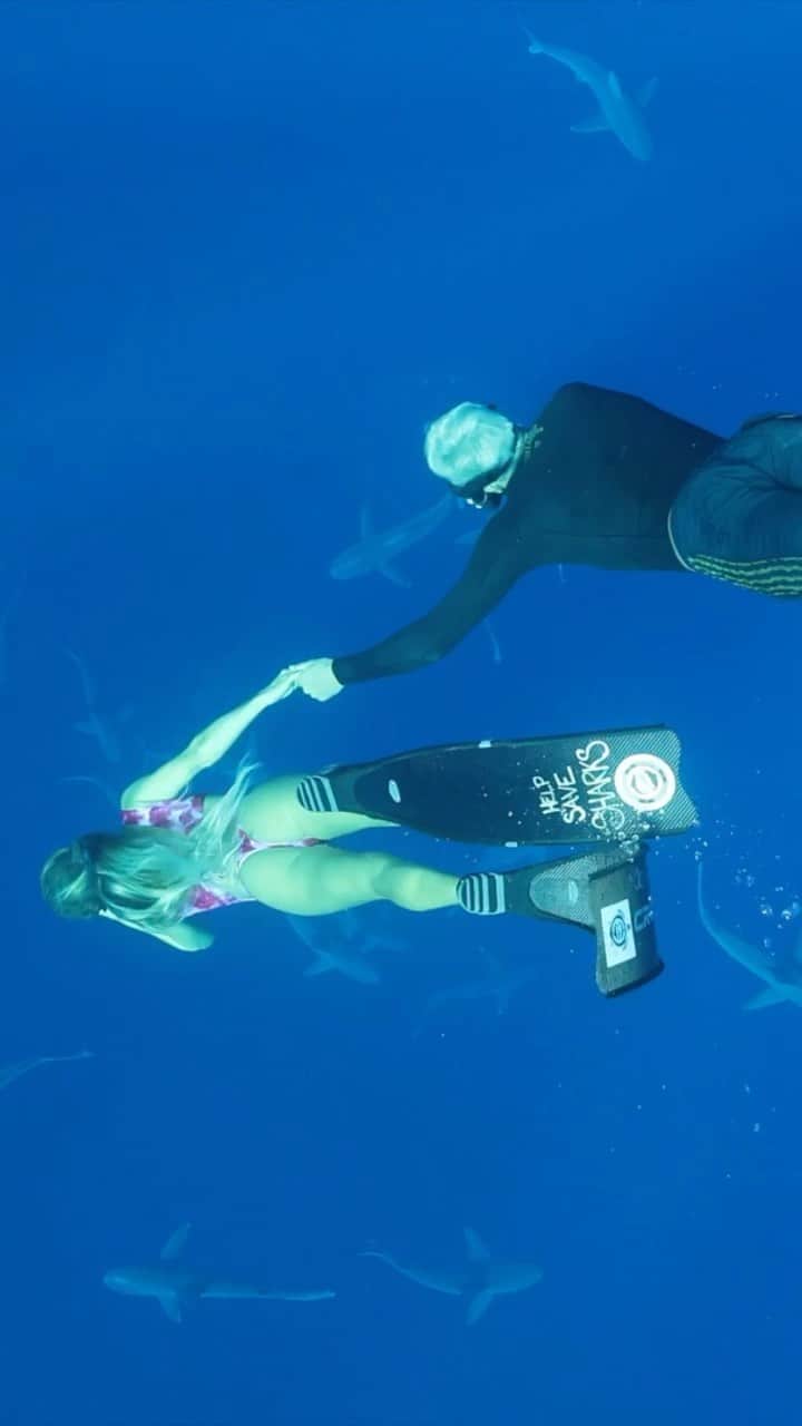 アラナ・ブランチャードのインスタグラム：「Follow you deep sea @jackfreestone i mean Riley (it’s the tiger sharks name🤣) if you guys missed out latest YouTube about your shark dive with @oceanramsey and @juansharks go check it out. Link in bio」