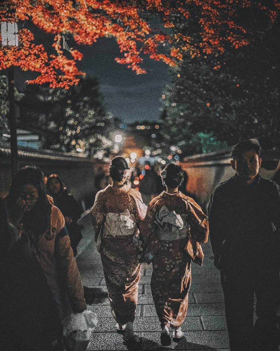 Berlin Tokyoさんのインスタグラム写真 - (Berlin TokyoInstagram)「The beautiful foliage illuminates the night in Kyoto. . . . #hellofrom #kyoto, #japan」11月11日 23時06分 - tokio_kid