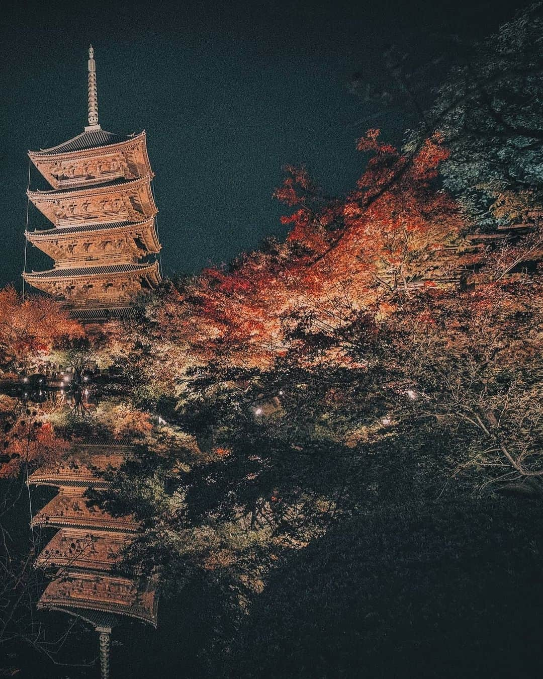 Berlin Tokyoさんのインスタグラム写真 - (Berlin TokyoInstagram)「The beautiful foliage illuminates the night in Kyoto. . . . #hellofrom #kyoto, #japan」11月11日 23時06分 - tokio_kid