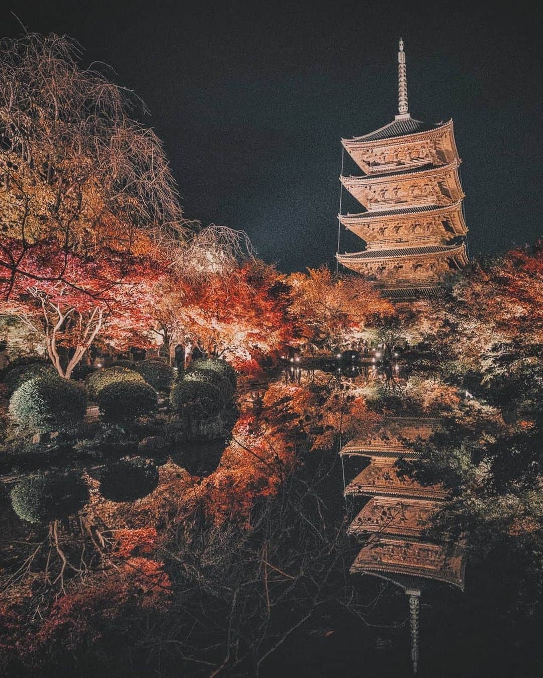 Berlin Tokyoのインスタグラム：「The beautiful foliage illuminates the night in Kyoto. . . . #hellofrom #kyoto, #japan」