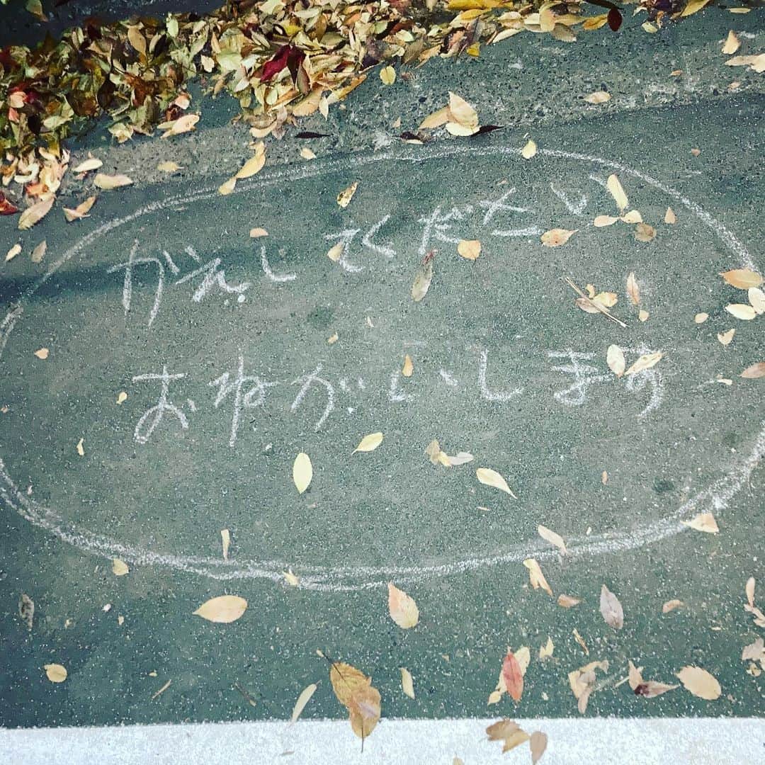 荒木次元さんのインスタグラム写真 - (荒木次元Instagram)「近所の公園傍、路上にて。 何かは分からないけれど、返してあげてほしい。」11月11日 23時13分 - jigenaraki