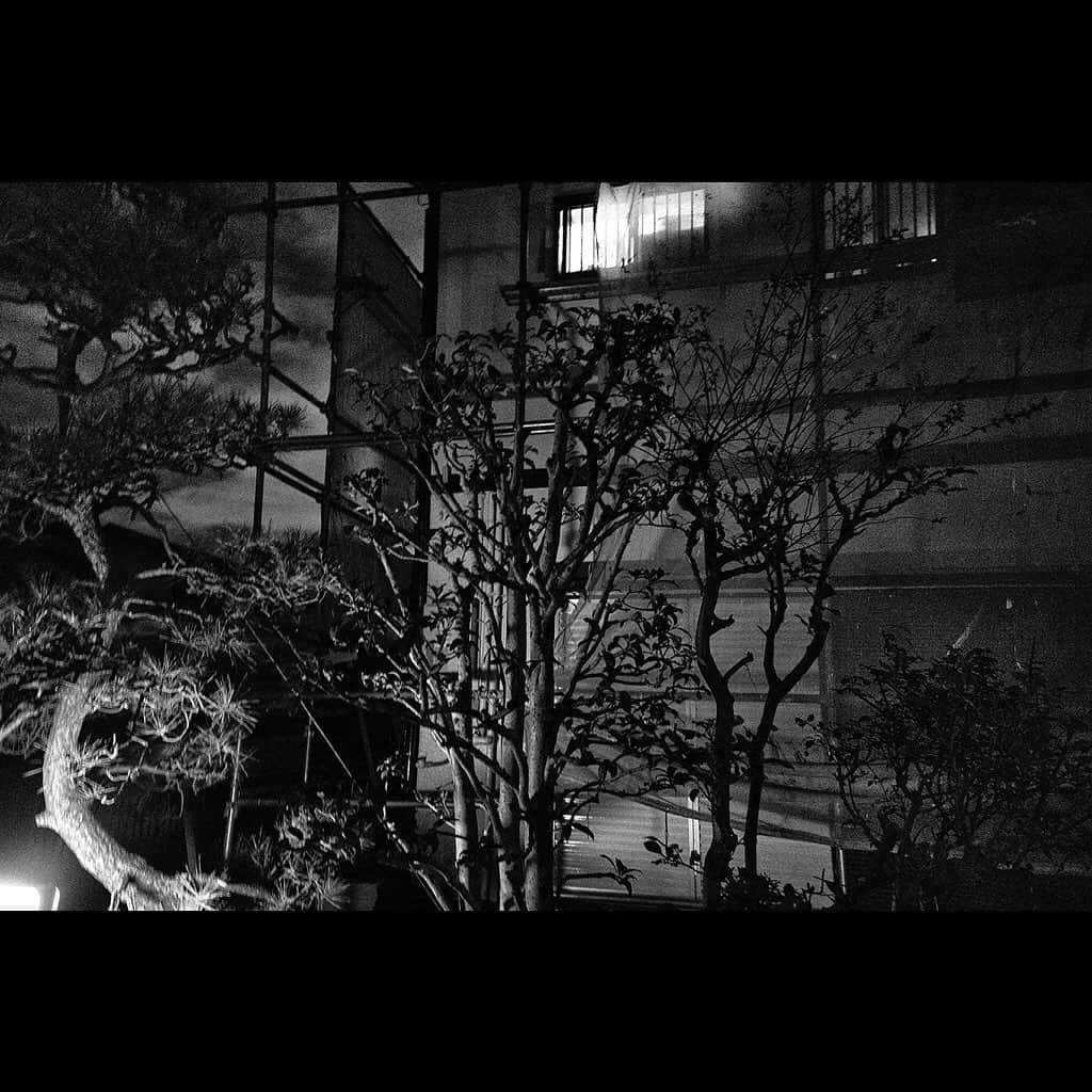 Tatsuo Suzukiさんのインスタグラム写真 - (Tatsuo SuzukiInstagram)「Neighborhood」11月11日 23時37分 - tatsuo_suzuki_001