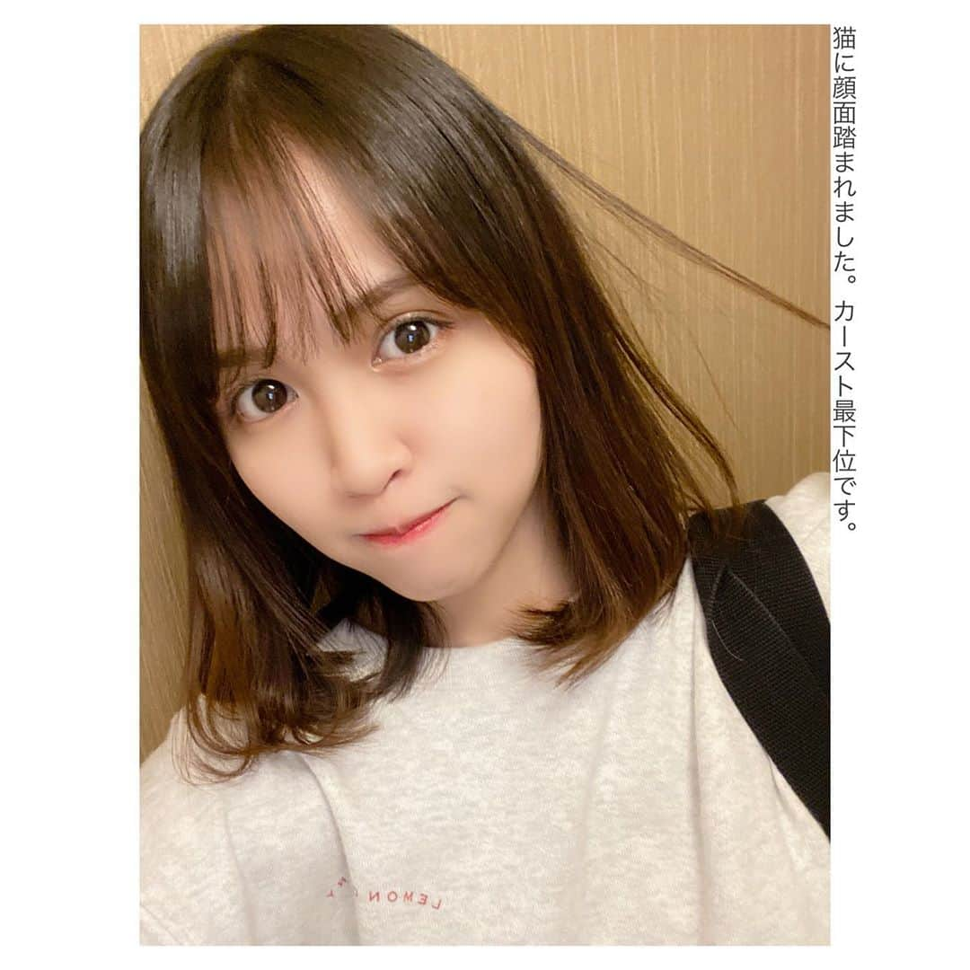 古野みうさんのインスタグラム写真 - (古野みうInstagram)「その点トッポってすげぇよな、最後までチョコたっぷりだもん。  #ポッキーの日」11月11日 23時56分 - umiushi.mium