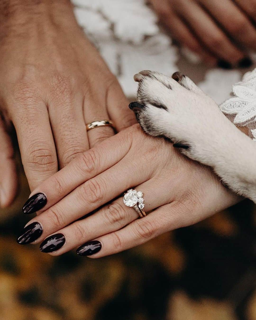 itsdougthepugさんのインスタグラム写真 - (itsdougthepugInstagram)「“When u take ur ring bearer duties VERY seriously” -Doug • Happy Anniversary to my humans!! ❤️」11月12日 0時47分 - itsdougthepug